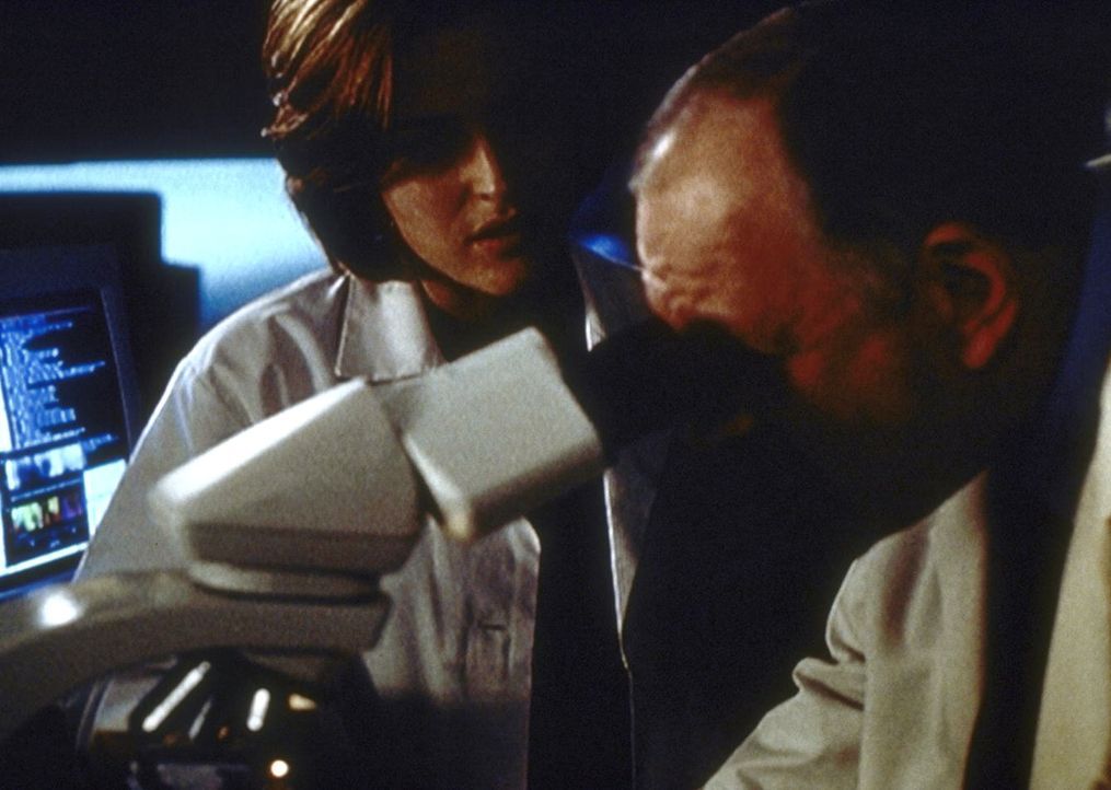 Scully (Gillian Anderson, l.) und Dr. Plant (Kenneth Tigar) stellen fest, dass sich Kohlenstoff in Skinners Blut befindet, was zu den Vergiftungsers... - Bildquelle: TM +   2000 Twentieth Century Fox Film Corporation. All Rights Reserved.