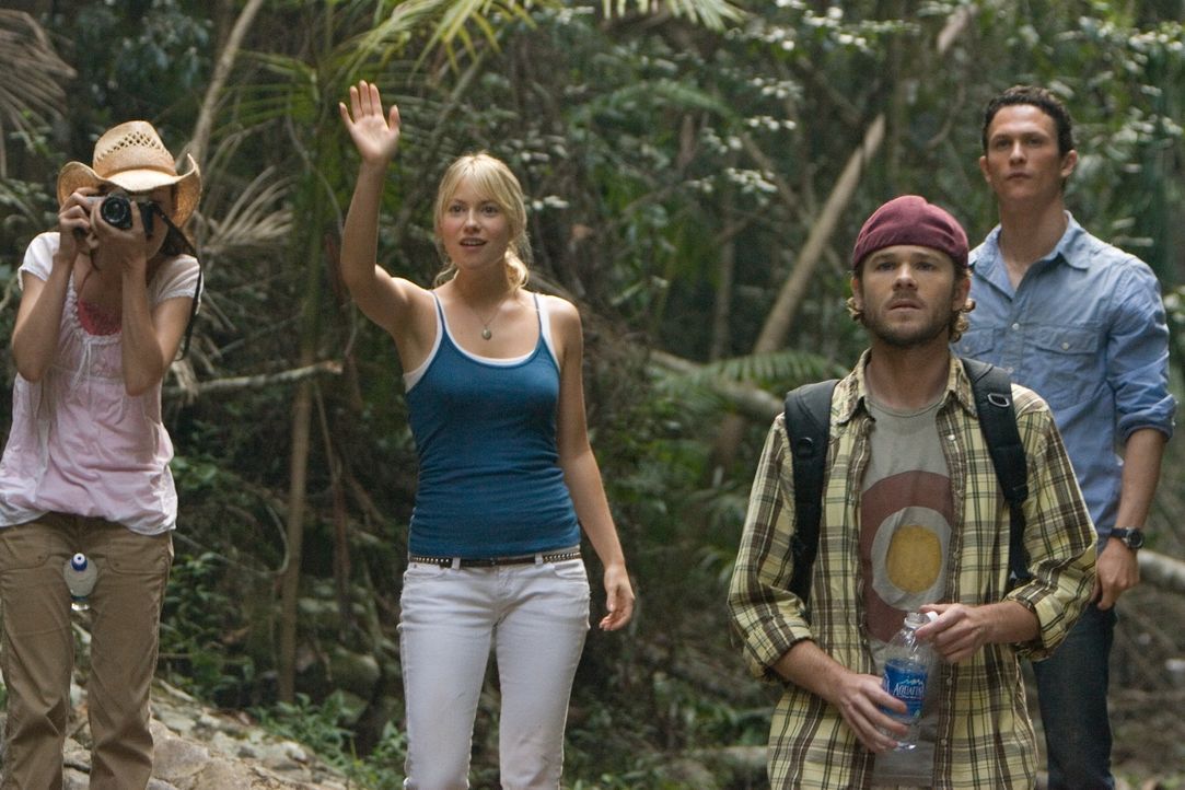 Die amerikanischen Studenten Jeff (Jonathan Tucker, r.), Amy (Jena Malone, l.) sowie Eric (Shawn Ashmore, 2.v.r.) und Stacy (Laura Ramsey, 2.v.l.) w... - Bildquelle: 2008 DreamWorks LLC. All Rights Reserved.l