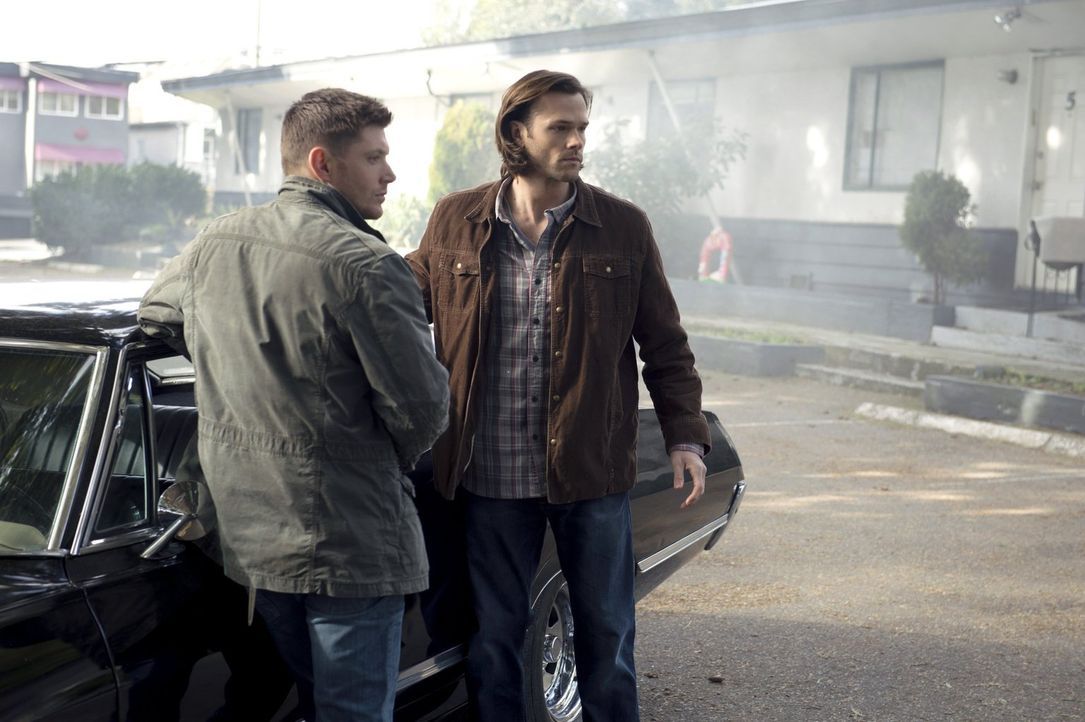 Ahnen nicht, dass sie nur Figuren in Metatrons Spiel sind: Dean (Jensen Ackles, l.) und Sam (Jared Padalecki, r.) ... - Bildquelle: 2013 Warner Brothers