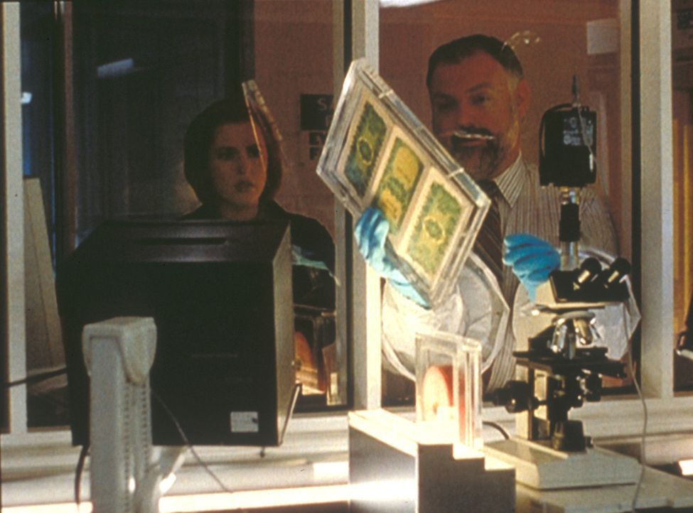 Scully (Gillian Anderson, l.) stellt mit Hilfe des Seuchen-Spezialisten Dr. Leavitt (John B. Lowe, r.) fest, dass die Dollar-Noten mit einem tödlich... - Bildquelle: TM +   2000 Twentieth Century Fox Film Corporation. All Rights Reserved.