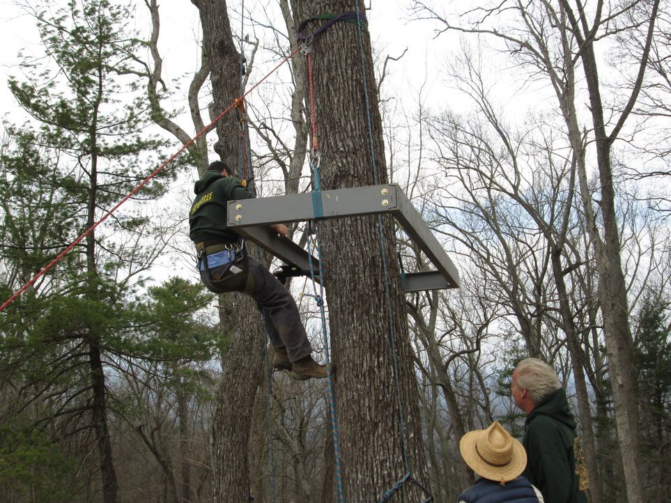 Eine neue holzige Herausforderung erwartet die Treehouse Guys in Asheville, wo sie ihren Kunden einen Baum-Palast in weißen Eichen bauen - ihre Kund... - Bildquelle: 2016,DIY Network/Scripps Networks, LLC. All Rights Reserved.