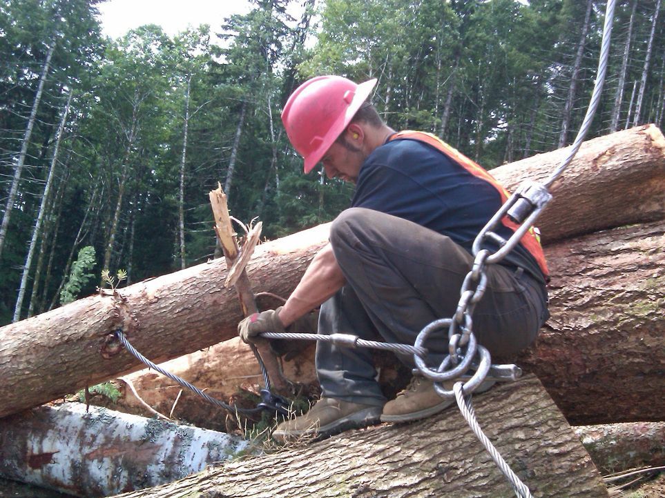 Es ist wohl der härteste Job der USA - Holzfäller im Pazifischen Nordwesten Amerikas. Bei der Arbeit mit Sägen, Äxten und schweren High Tech Maschin... - Bildquelle: Courtesy Original Productions 2009 A+E Networks