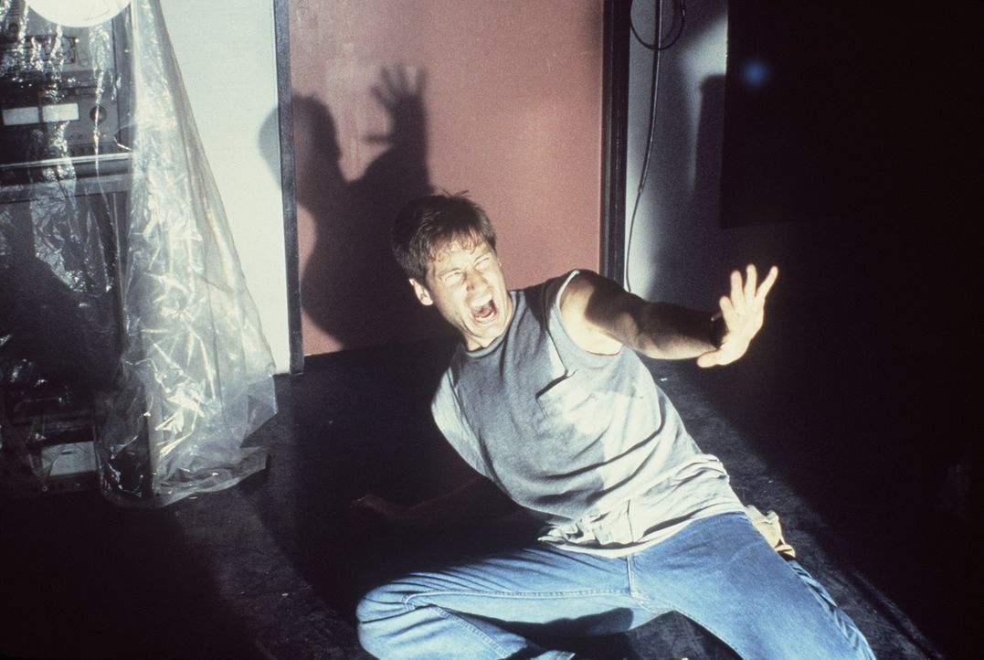 (1. Staffel) - Die X-Akten: Hier werden Fälle gesammelt, in denen paranormale Phänomene eine Rolle spielen, die nicht erklärt werden können. FBI-Age... - Bildquelle: TM +   Twentieth Century Fox Film Corporation. All Rights Reserved.