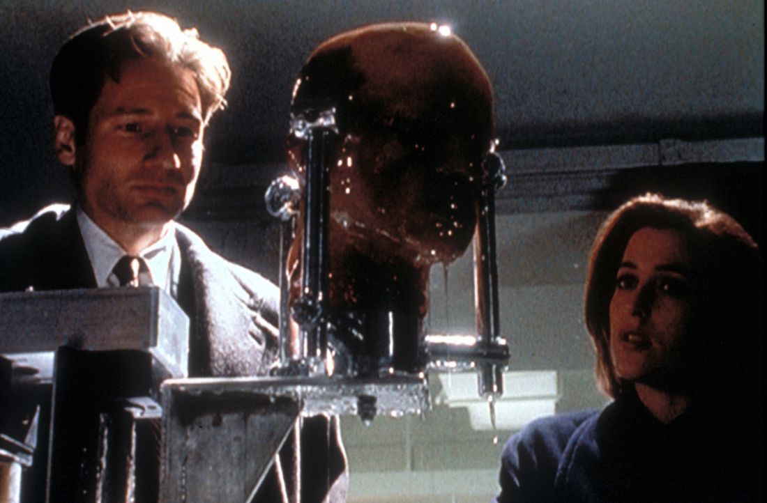 Mulder (David Duchovny, l.) und Scully (Gillian Anderson, r.) untersuchen den abgetrennten Kopf eines bei einem Verkehrsunfall getöteten Mannes. - Bildquelle: TM +   2000 Twentieth Century Fox Film Corporation. All Rights Reserved.
