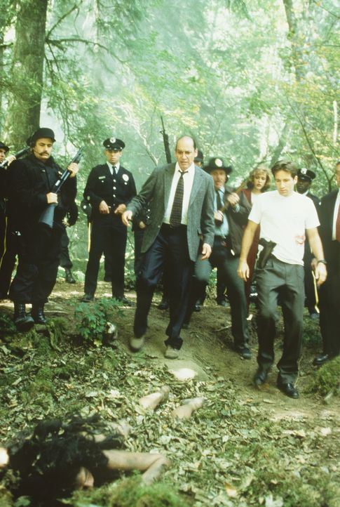 FBI-Agent Mulder (David Duchovny, r.) muss sich mit einer Reihe von Morden in den Wäldern New Jerseys befassen. - Bildquelle: TM +   Twentieth Century Fox Film Corporation. All Rights Reserved.