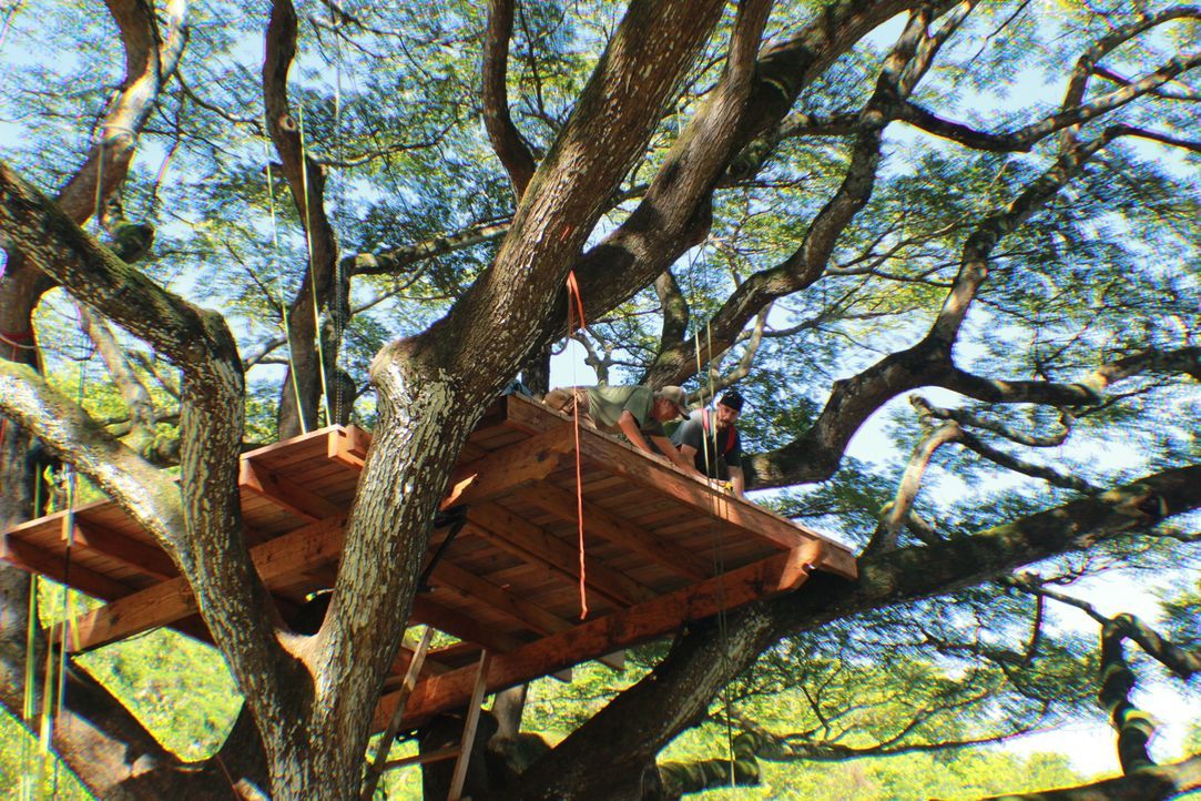 B'fer (l.) und Ka-V  (r.) müssen sich beeilen und das Baumhaus trotz Hawaiis täglicher Nachmittagsregenfälle zum Abschluss bringen ... - Bildquelle: 2014, DIY Network/Scripps Networks, LLC. All RIghts Reserved.