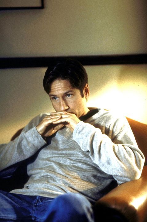 Mulder (David Duchovny) hat ein Komplott der Regierung aufgedeckt. - Bildquelle: TM +   Twentieth Century Fox Film Corporation. All Rights Reserved.