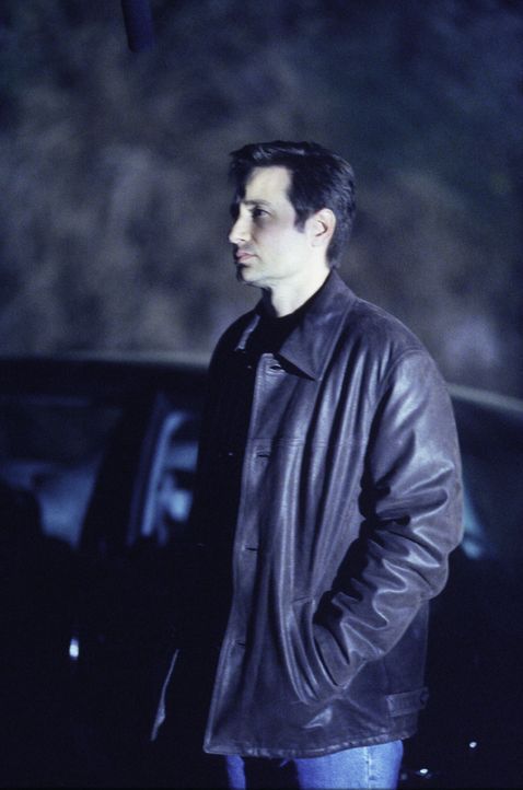 Nach wie vor ist Mulder (David Duchovny) auf der Suche nach Hinweisen für das plötzliche Verschwinden seiner Schwester ... - Bildquelle: 1999-2000 Twentieth Century Fox Film Corporation