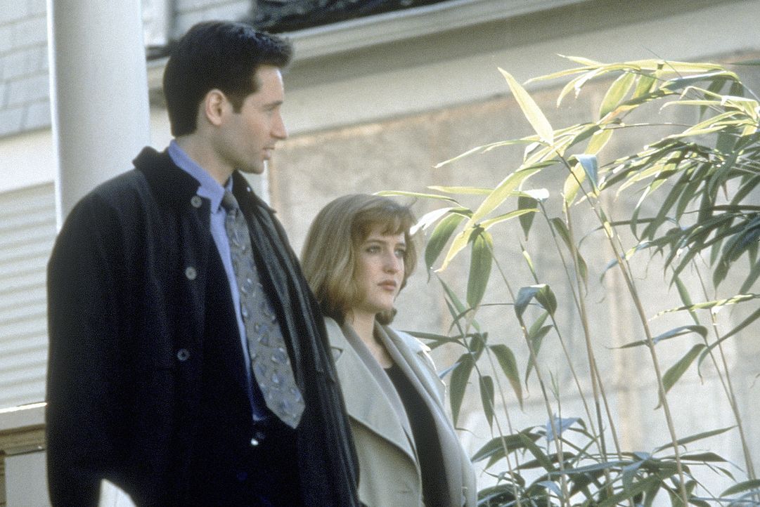 (2. Staffel) - Während die FBI-Agentin und Wissenschaftlerin Scully (Gillian Anderson, r.) übernatürlichen Vorgängen mit viel Skepsis begegnet, ist... - Bildquelle: TM +   Twentieth Century Fox Film Corporation. All Rights Reserved.