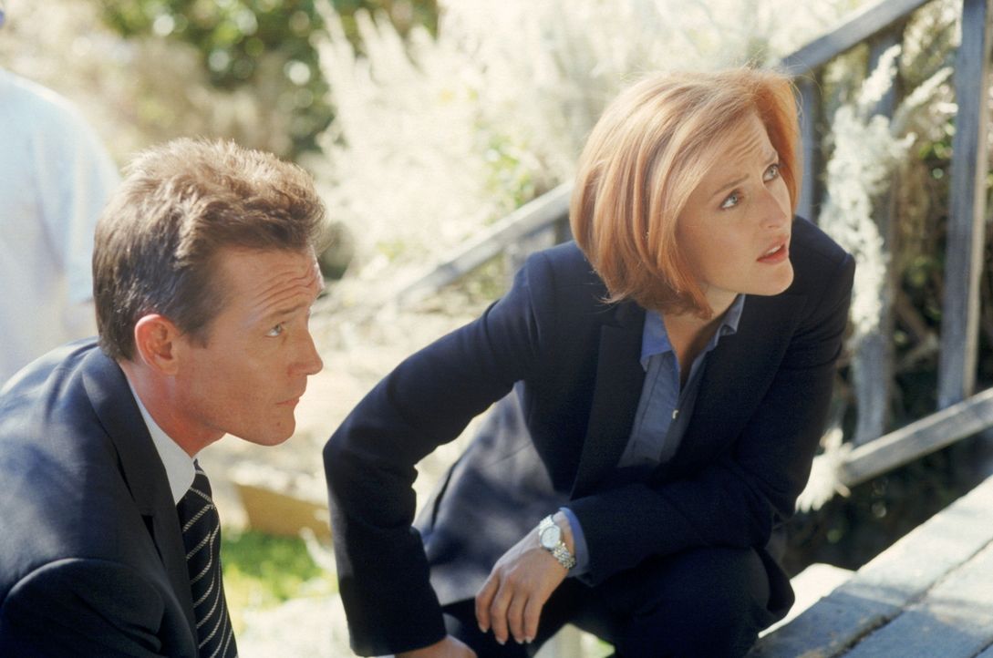 Doggett (Robert Patrick, l.) und Scully (Gillian Anderson, r.) haben es bei der Mordserie in Idaho mit einem Täter zu tun, der halb Mensch, halb Fle... - Bildquelle: TM +   2000 Twentieth Century Fox Film Corporation. All Rights Reserved.
