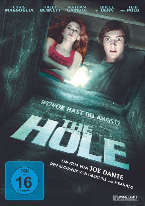 The Hole - Die geheimnisvolle Falltür - Cover - Bildquelle: © 2009 Ed Araquel/Bold FIlms