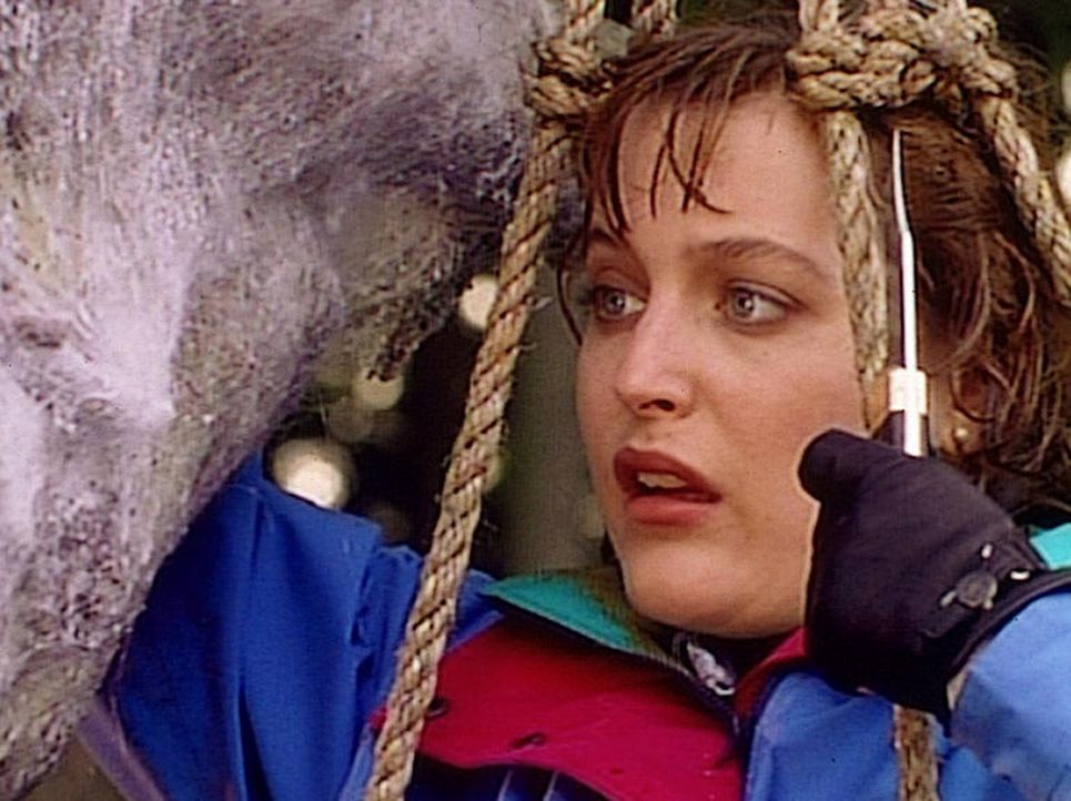 Scully (Gillian Anderson) ist entsetzt, als sie in einem insektenähnlichn Kokon die Leiche eines Mannes findet. - Bildquelle: TM +   2000 Twentieth Century Fox Film Corporation. All Rights Reserved.