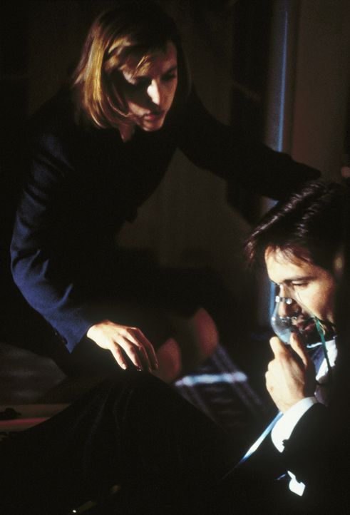 Gerade nocht rechtzeitig konnte sich Mulder (David Duchovny, r.) aus einem brennenden Haus befreien. Seine Kollegin Scully (Gillian Anderson, l.) le... - Bildquelle: TM +   Twentieth Century Fox Film Corporation. All Rights Reserved.