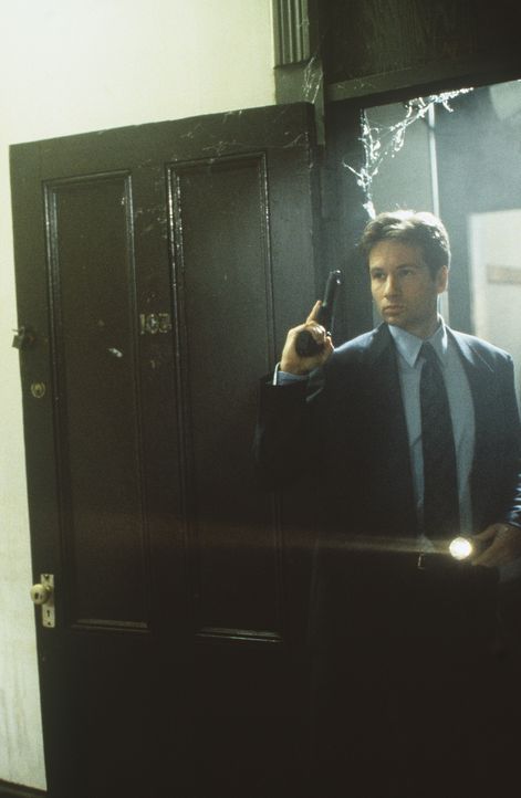 Der FBI-Agent Fox Mulder (David Duchovny) untersucht eine mysteriöse Mordserie in Baltimore. - Bildquelle: TM +   Twentieth Century Fox Film Corporation. All Rights Reserved.