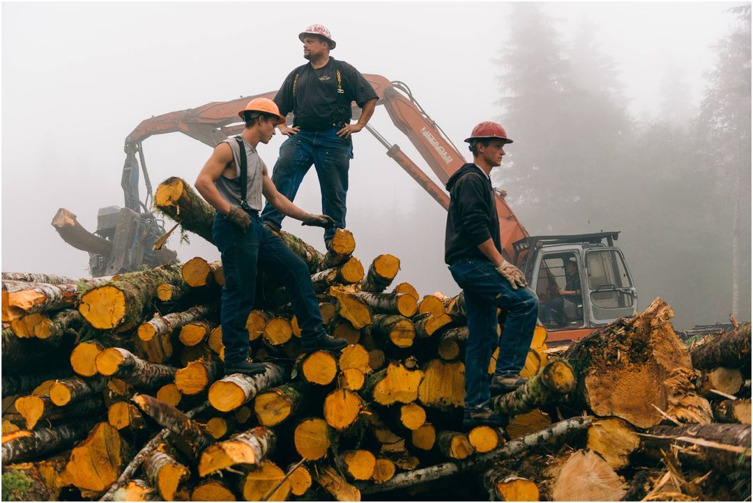 Mit der Axt in der Hand - oder der Motorsäge - versuchen vier Teams aus Holzfällern, sich im harten Wettbewerb im Nordwesten der USA zu behaupten. - Bildquelle: 2013 A+E Networks