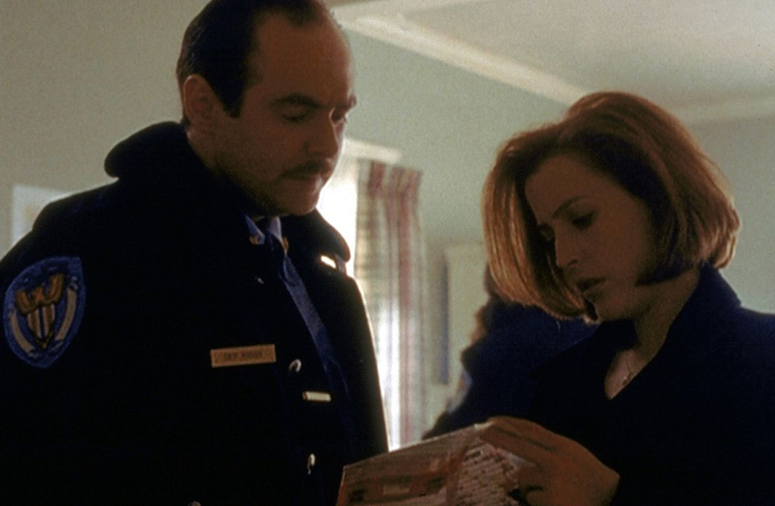 Scully (Gillian Anderson, r.) und Polizei-Chief Jack Bonsaint (Larry Musser, l.) recherchieren in einem mysteriösen Fall von Massenhysterie. - Bildquelle: TM +   2000 Twentieth Century Fox Film Corporation. All Rights Reserved.