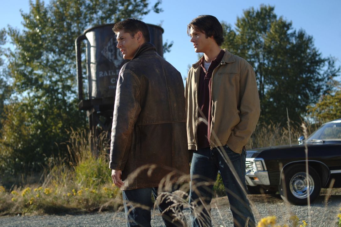 Sam (Jared Padalecki, r.) und Dean (Jensen Ackles, l.) suchen nach weiteren Hinweisen für die eigenartige Mordfälle ... - Bildquelle: Warner Bros. Television