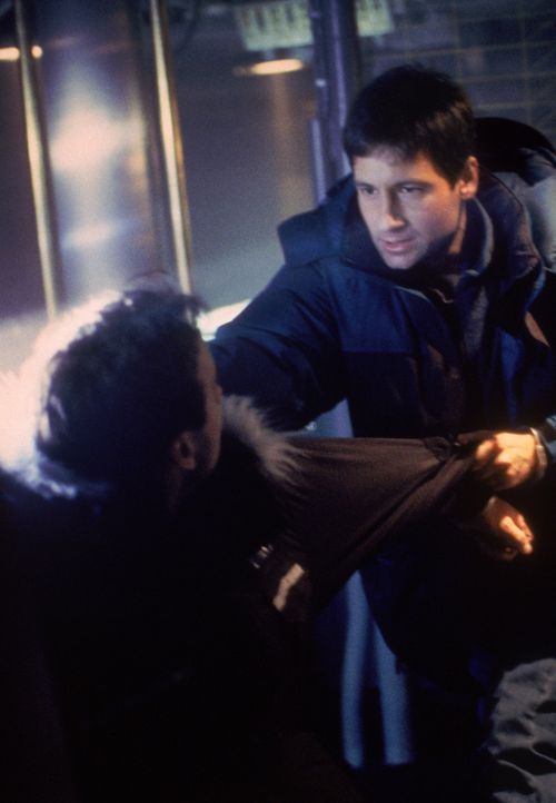 Fox Mulder (David Duchovny, r.) - Bildquelle: 1995 Twentieth Century Fox Film Corporation. All rights reserved.