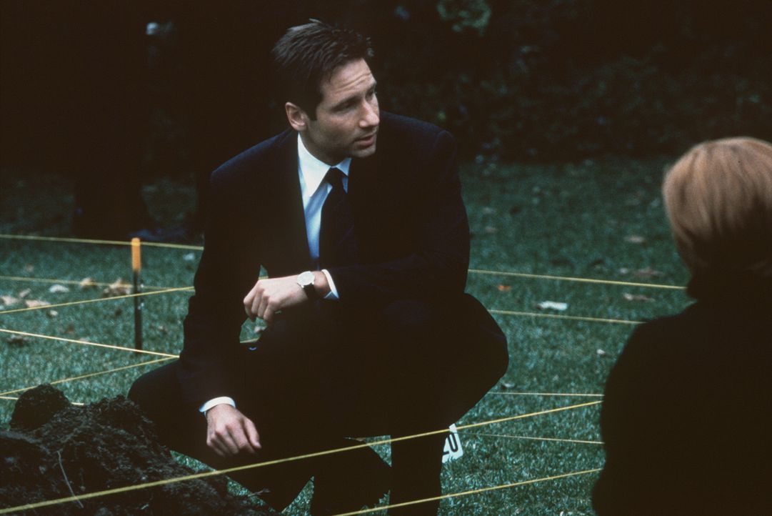 Mulder (David Duchovny, M.) sucht im Garten eines Verdächtigen nach einer vergrabenen Babyleiche. - Bildquelle: TM +   2000 Twentieth Century Fox Film Corporation. All Rights Reserved.