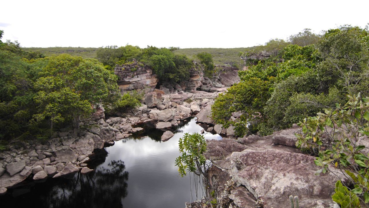 Der Weg zu den "Buracao Canyon Falls" in Ibicoara, Brasilien, präsentiert viel unberührte Natur ... - Bildquelle: 2017,The Travel Channel, L.L.C. All Rights Reserved