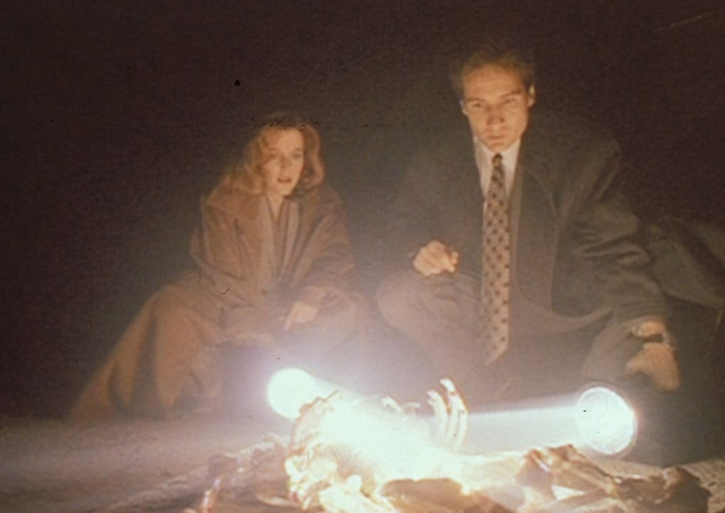 Fassungslos stehen Scully (Gillian Anderson, l.) und Mulder (David Duchovny, r.) vor den Überresten des Teufelsanbeters Jim Ausbury, der offenbar se... - Bildquelle: TM +   Twentieth Century Fox Film Corporation. All Rights Reserved.