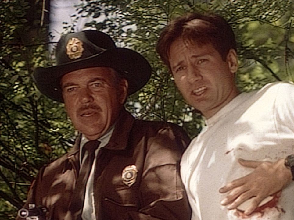 Der FBI-Agent Mulder (David Duchovny, r.) und ein Ranger (Michael MacRae, l.) des Nationalparks von Jersey stehen fassungslos einer "Tierfrau" gegen... - Bildquelle: TM +   Twentieth Century Fox Film Corporation. All Rights Reserved.