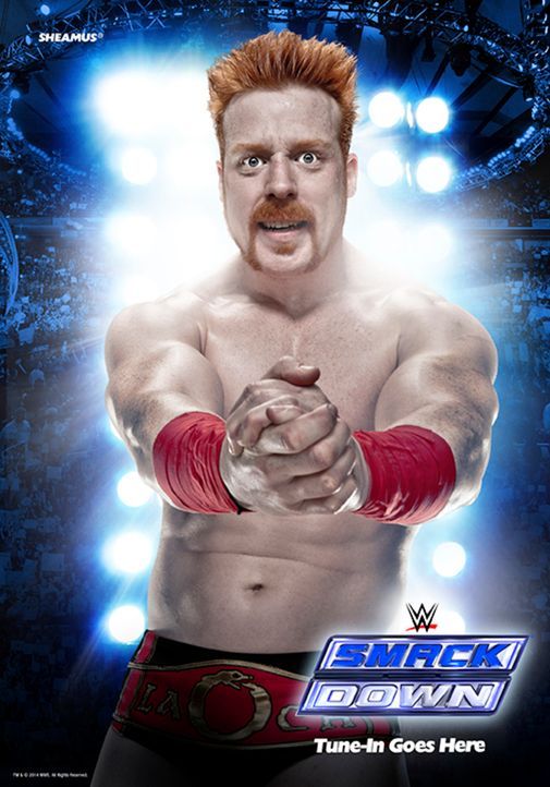 Sheamus in "SMACKDOWN!" ... - Bildquelle: 2014 WWE, Inc. All Rights Reserved.