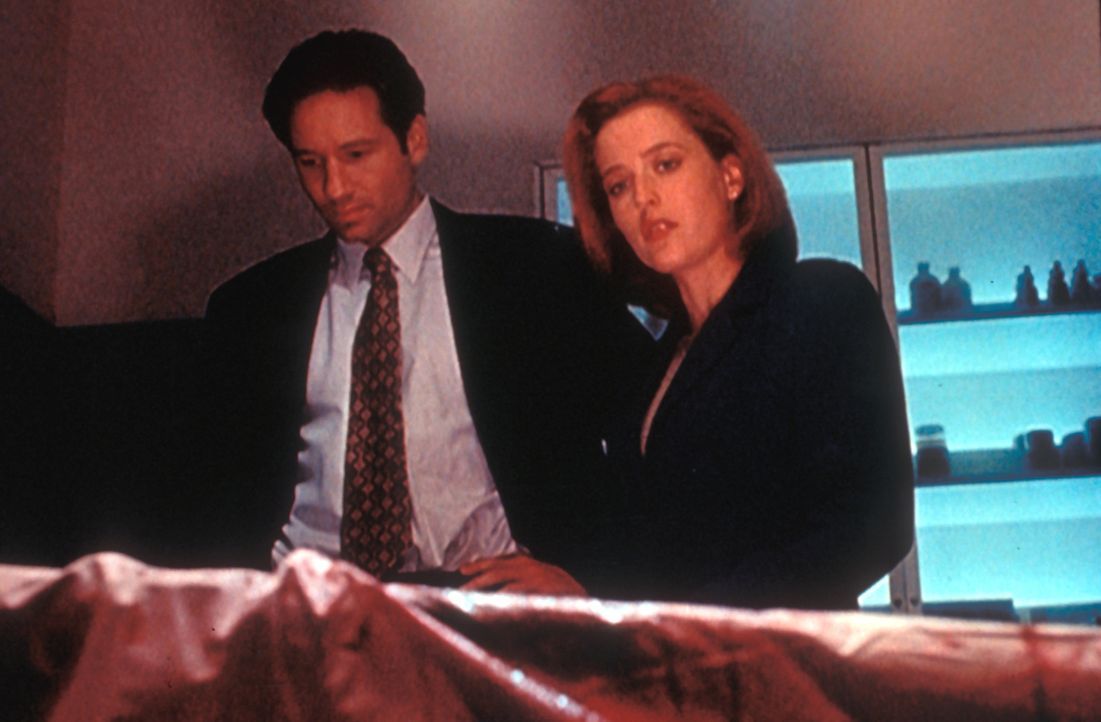 Mulder (David Duchovny, l.) und Scully (Gillian Anderson, r.) untersuchen einen Fall, bei dem offensichtlich Okkultismus eine Rolle spielt. Völlig n... - Bildquelle: TM +   Twentieth Century Fox Film Corporation. All Rights Reserved.