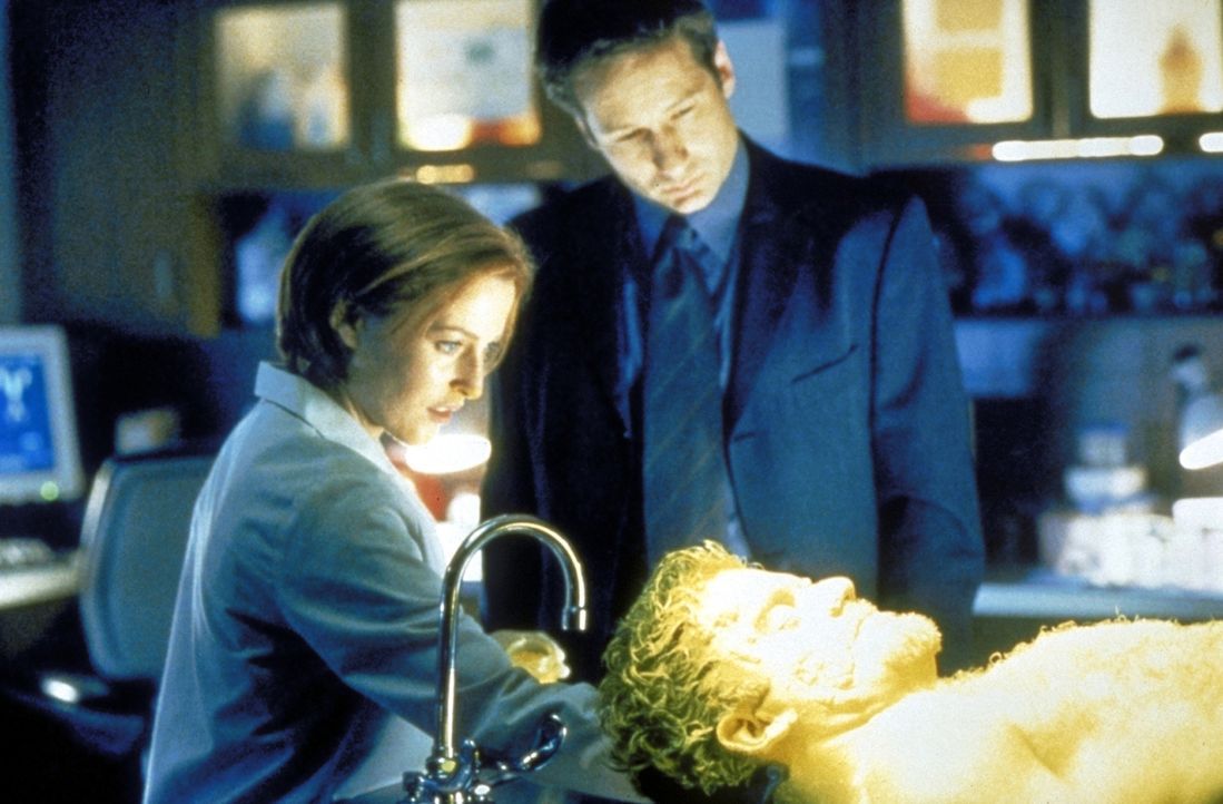Scully (Gillian Anderson, l.) zeigt Mulder (David Duchovny, M.) die Leiche von Anson Stokes (Kevin Weisman, r.), die Scully mit Hilfe von gelbem Pud... - Bildquelle: TM +   2000 Twentieth Century Fox Film Corporation. All Rights Reserved.