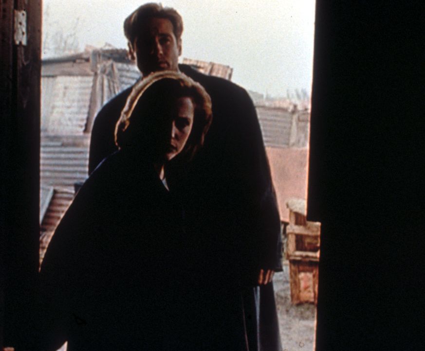 Scully (Gillian Anderson, vorne) und Mulder (David Duchovny, hinten) entdecken in einem Lager für mexikanische Wanderarbeiter die Relikte eines Natu... - Bildquelle: TM +   2000 Twentieth Century Fox Film Corporation. All Rights Reserved.