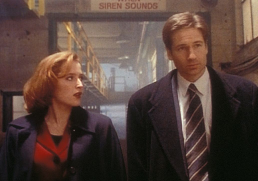 Scully (Gillian Anderson, l.) und Mulder (David Duchovny, r.) haben einen Serienmörder im Gefängnis verhört, der behauptet, von einem bösen Geist be... - Bildquelle: TM +   2000 Twentieth Century Fox Film Corporation. All Rights Reserved.