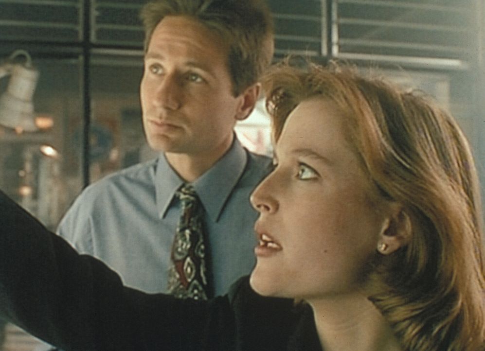 Mulder (David Duchovny, l.) und Scully (Gillian Anderson, r.) stellen bei ihren Recherchen über eine Mordserie in Aubrey, Missouri, fest, dass es do... - Bildquelle: TM +   Twentieth Century Fox Film Corporation. All Rights Reserved.
