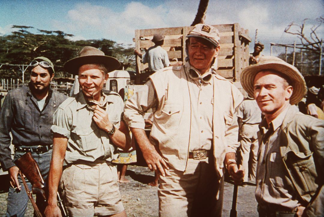 Sean Mercer (John Wayne, M.), Kurt Stahl (Hardy Krüger, 2.v.l.) und Pockets (Red Buttons, r.) sind unschlagbar, wenn es darum geht, Tiere des Dschun... - Bildquelle: Paramount Pictures