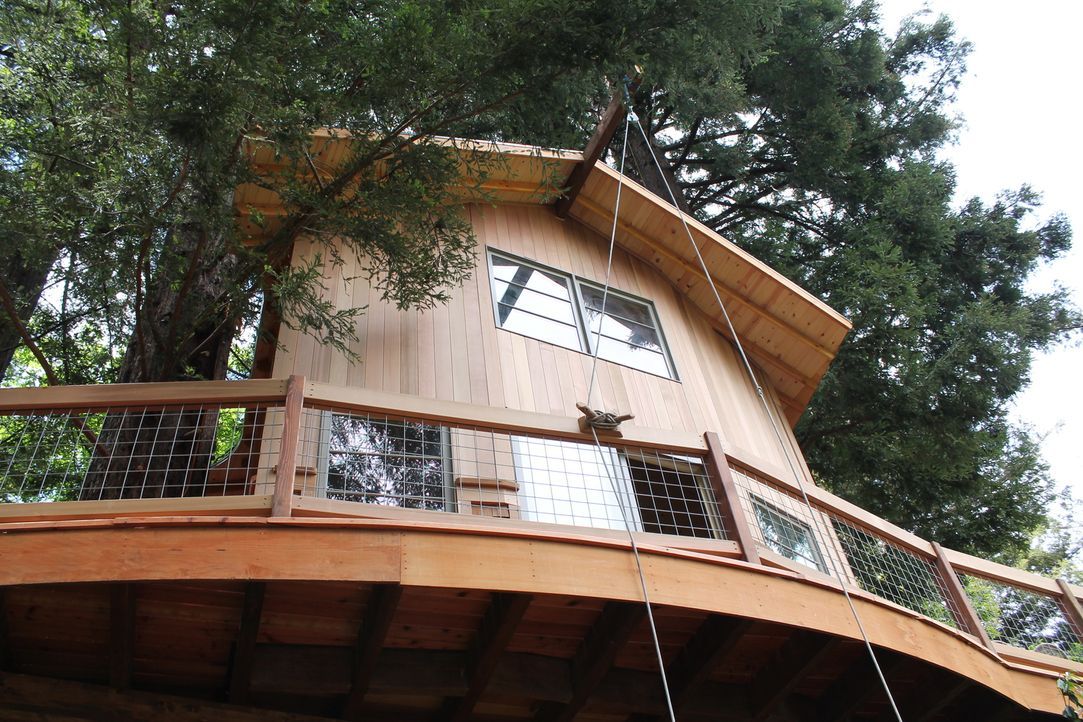 In 6 m Höhe bauen die Treehouse Guys ein knapp 28 qm großes Baumhaus, das es ganz schön in sich hat ... - Bildquelle: 2015, DIY Network/Scripps Networks, LLC. All Rights Reserved.