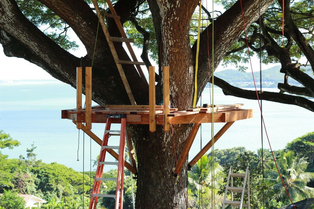 Für den Bau des Baumhauses verwenden die Treehouse Guys ausschließlich auf der Insel zusammengesammelte Materialien ... - Bildquelle: 2014, DIY Network/Scripps Networks, LLC. All RIghts Reserved.