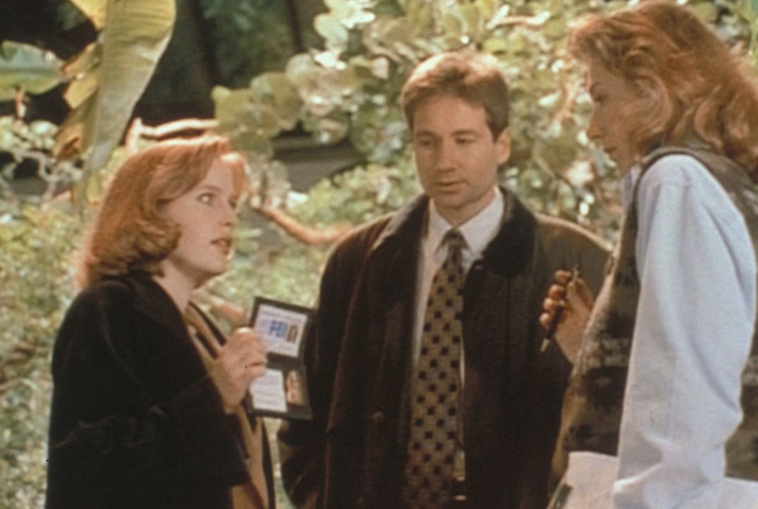 Scully (Gillian Anderson, l.) und Mulder (David Duchovny, M.) versuchen, von der Tierparkleiterin Willa Ambrose (Jane Atkinson, r.) zu erfahren, war... - Bildquelle: TM +   Twentieth Century Fox Film Corporation. All Rights Reserved.