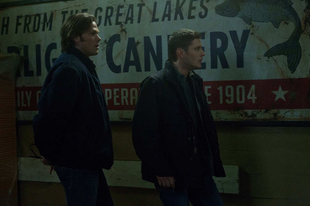 Als Sam (Jared Padalecki, l.) und Dean (Jensen Ackles, r.) klar wird, was Eve plant, ist es schon fast zu spät ... - Bildquelle: Warner Bros. Television