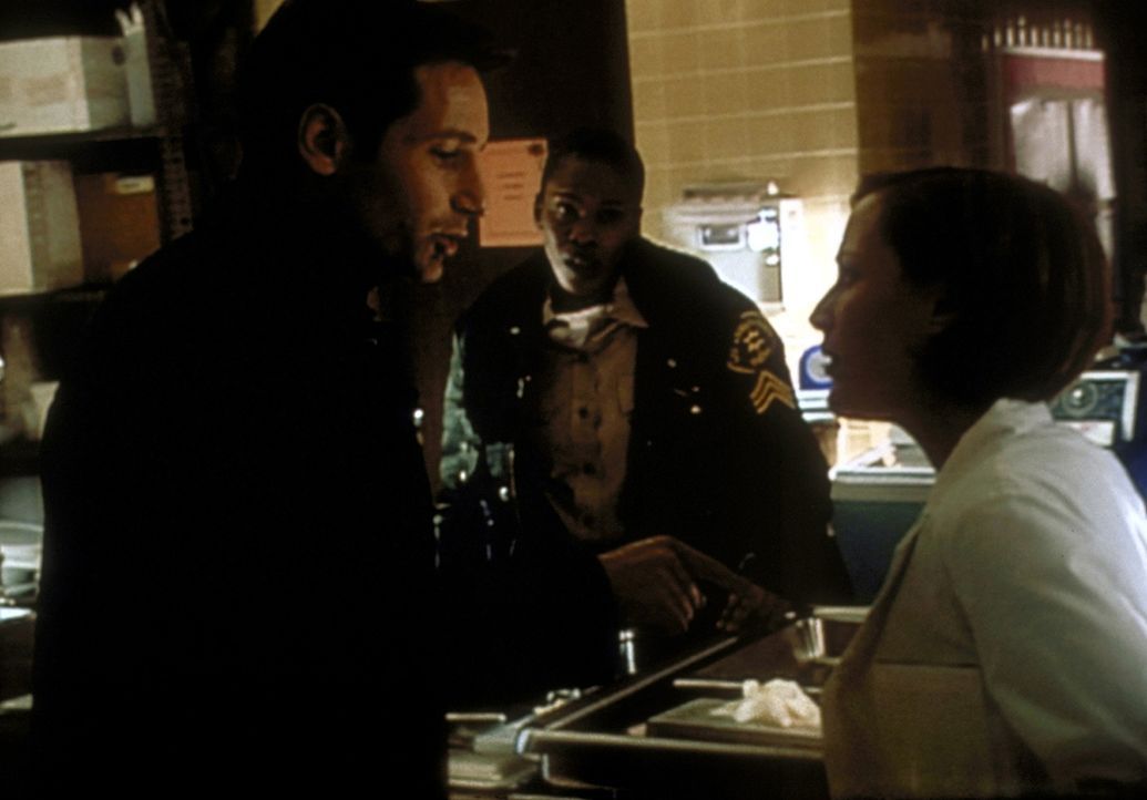 Mulder (David Duchovny, l.) und Scully (Gillian Anderson, r.) sind überzeugt davon, dass in Willow Park ein Wesen umhergeht, das sich von den Todesä... - Bildquelle: TM +   2000 Twentieth Century Fox Film Corporation. All Rights Reserved.