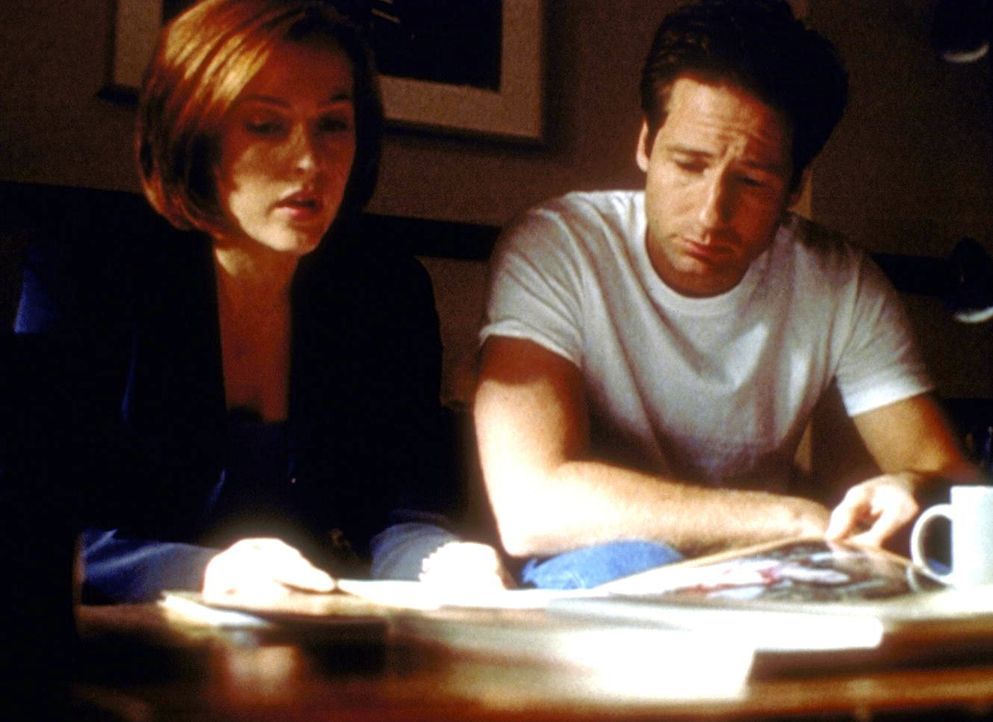 Scully (Gillian Anderson) und Mulder (David Duchovny, r.), die gerade die Autopsieberichte einer Mordserie studieren, merken nicht, dass sie dabei v... - Bildquelle: TM +   2000 Twentieth Century Fox Film Corporation. All Rights Reserved.