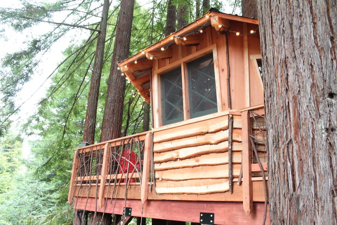 Fort Bragg, eine Kleinstadt in Kalifornien: Die Treehouse Guys verwirklichen die Träume einer Familie, indem sie ein 200 Quadratmeter großes Baumhau... - Bildquelle: 2015, DIY Network/Scripps Networks, LLC. All Rights Reserved.