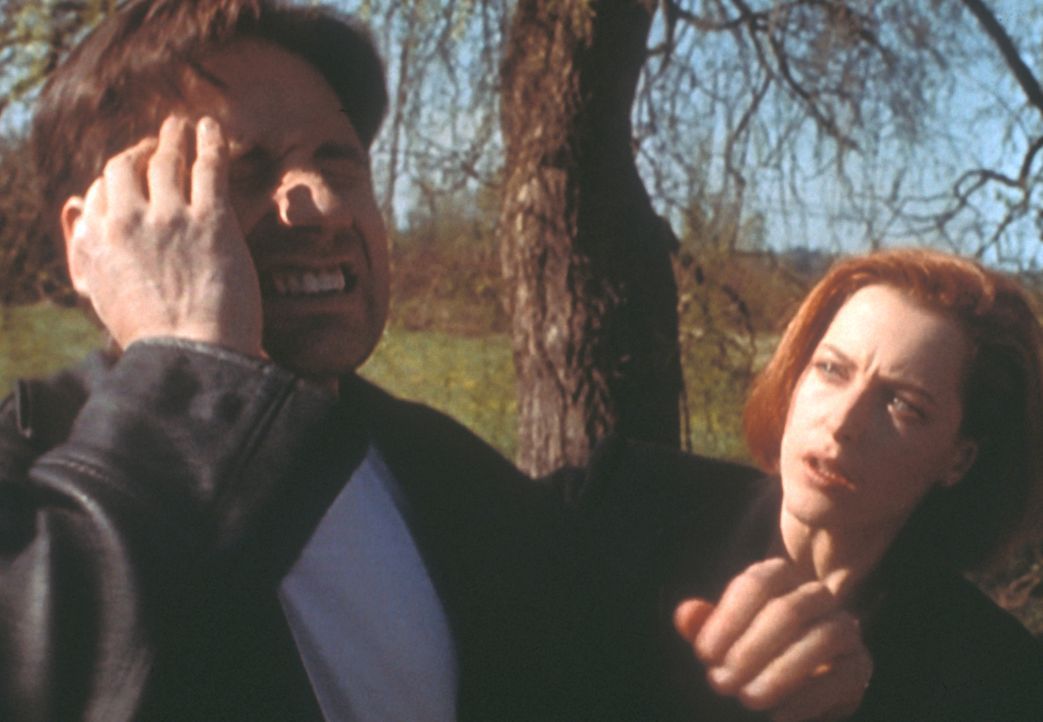 Mulder (David Duchovny, l.) bekommt immer wieder Anfälle, bei denen er nicht ansprechbar ist und sich danach an nichts mehr erinnern kann; Scully (G... - Bildquelle: TM +   2000 Twentieth Century Fox Film Corporation. All Rights Reserved.