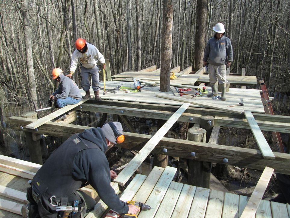 Für die Treehouse Guys ist kein Baum zu hoch und kein Holz zu schwer. In North Carolina bauen sie an einem neuen Baumhaus-Projekt mit der Windsor-Co... - Bildquelle: 2016,DIY Network/Scripps Networks, LLC. All Rights Reserved