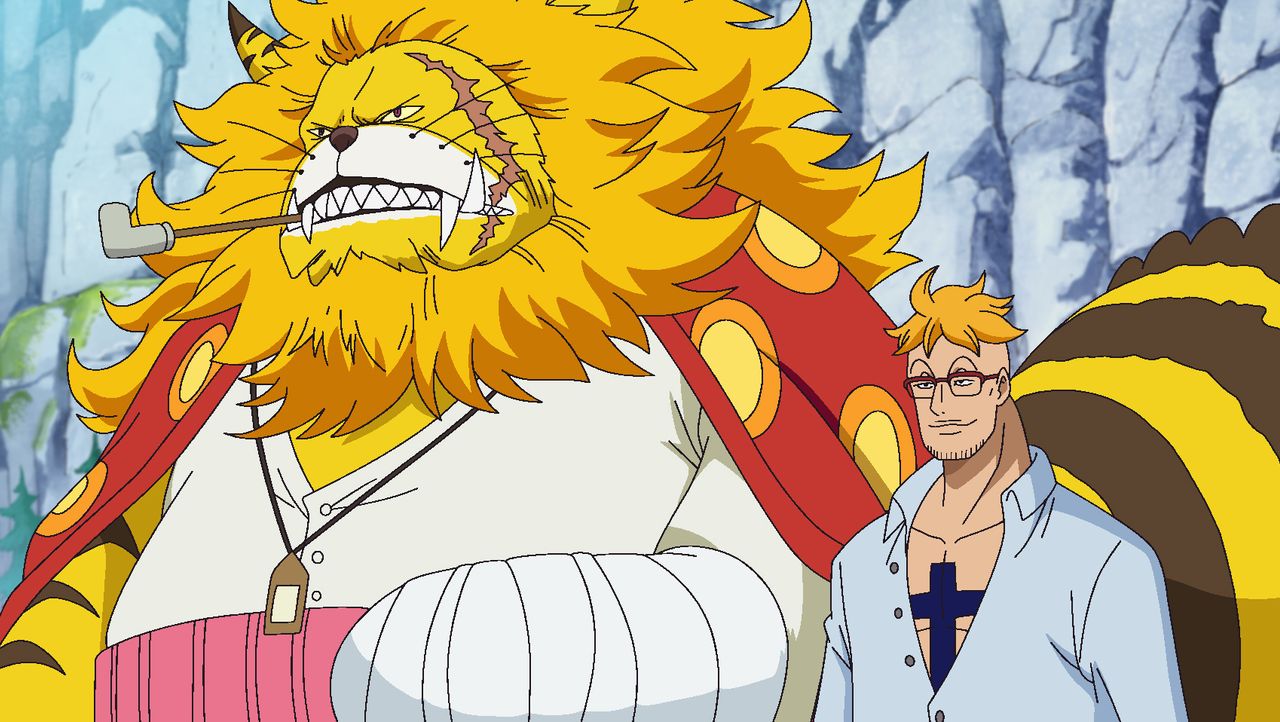 One Piece Marco Der Huter Von Whitebeards Vermachtnis Prosieben Maxx