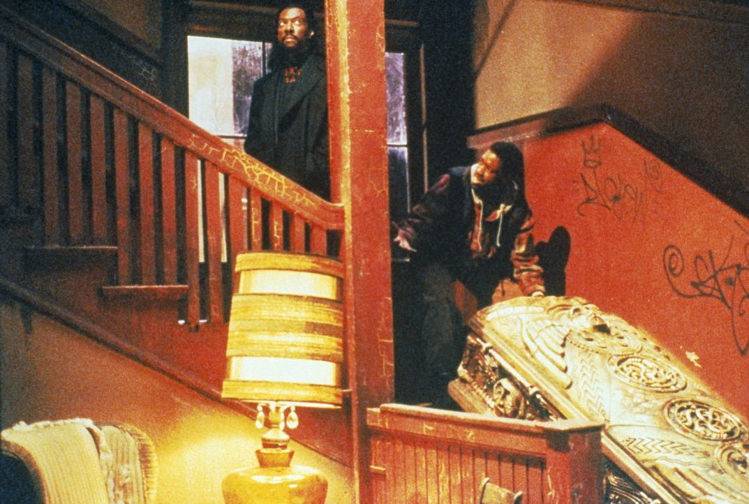 Beim Umzug vom Bermuda-Dreieck nach Brooklyn überträgt Maximillian (Eddie Murphy, l.) Julius (Kadeem Hardison, r.) eine eminent wichtige Aufgabe: de... - Bildquelle: Paramount Pictures