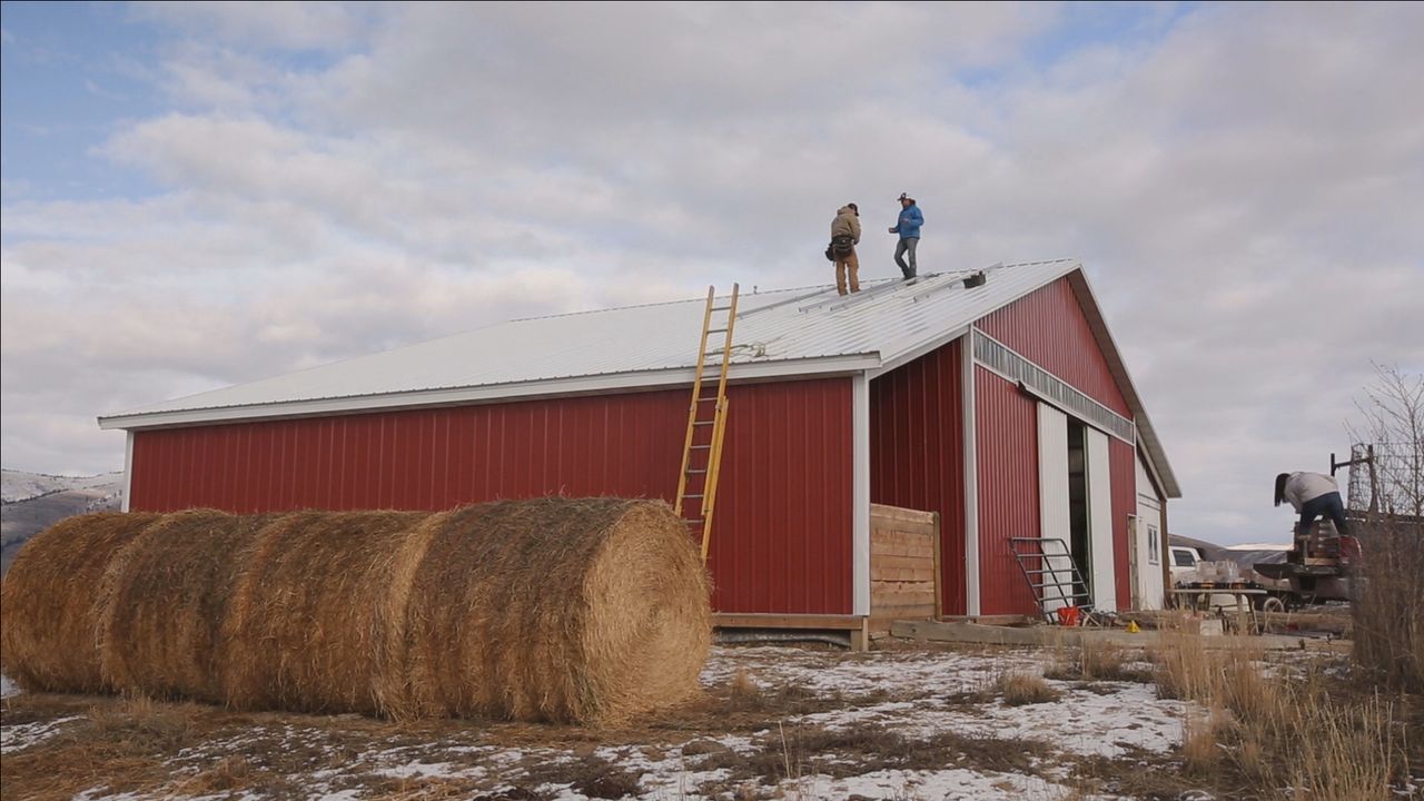 Jon und Etta Smith erfüllen sich ihren ganz persönlichen Haustraum: Eine Bison-Ranch in einer der abgelegensten Ecken des nordwestlichen Montana ... - Bildquelle: 2016,DIY Network/Scripps Networks, LLC. All Rights Reserved