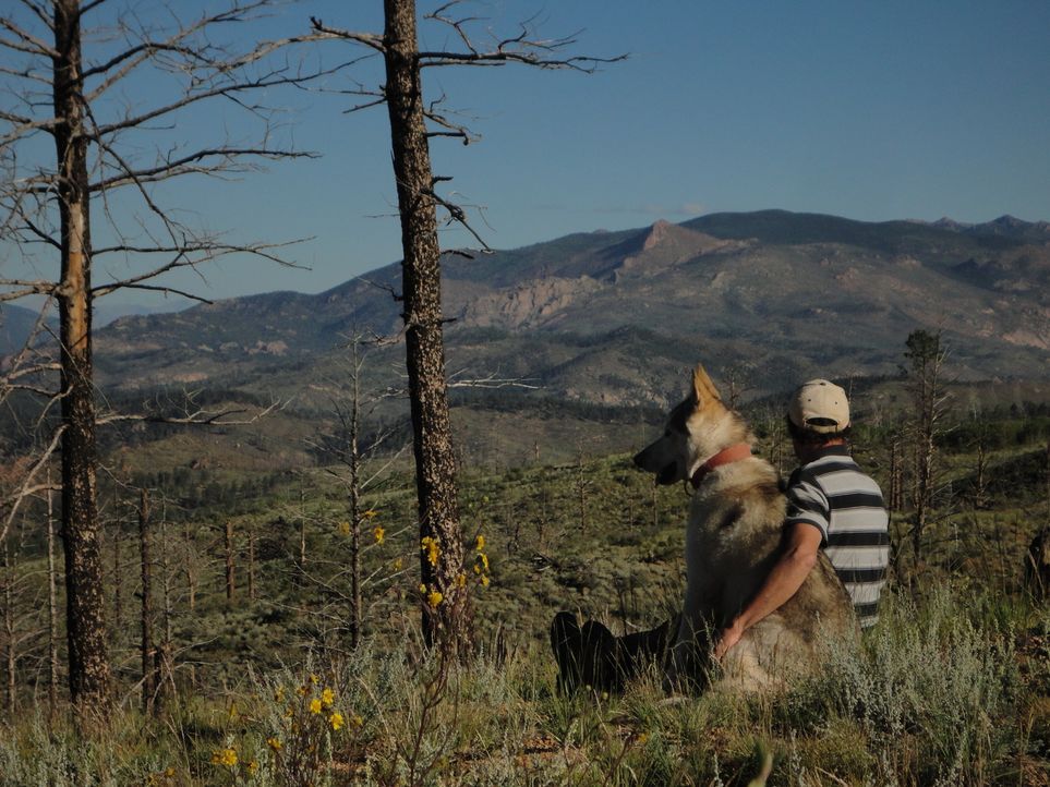 Rich Frettero und sein Hund lieben das, was sie tun, und die Umgebung von Lake George scheint eine wahre Schatztruhe zu sein ... - Bildquelle: High Noon Entertainment 2014