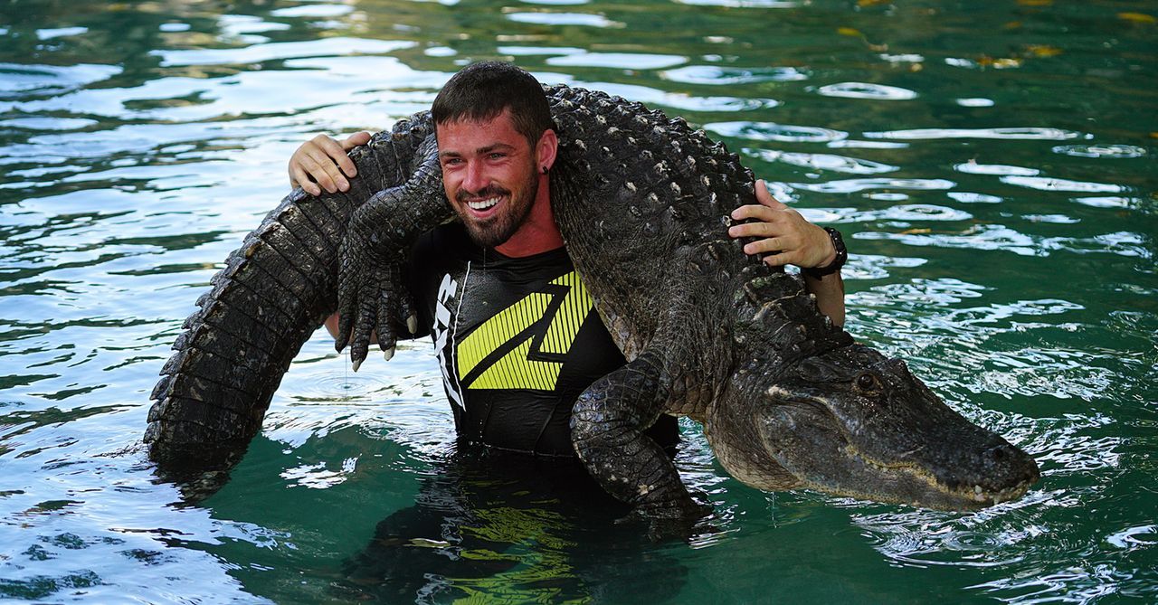 Ricky macht im Sunshine State Bekanntschaft mit einem Alligator ...