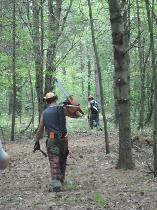 Vier Teams aus Holzfällern liefern sich im harten Wettbewerb im Nordwesten der USA einen harten Konkurrenzkampf: In den Bergen von Virginia will nun... - Bildquelle: 2012 A+E Networks
