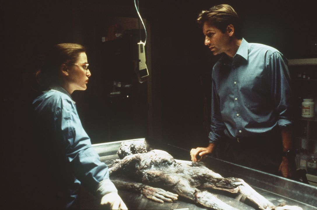 Die studierte Medizinerin Scully (Gillian Anderson, l.) glaubt nur an wissenschaftliche Beweise. Mulder (David Duchovny, r.) aber ist der festen Übe... - Bildquelle: TM +   Twentieth Century Fox Film Corporation. All Rights Reserved.
