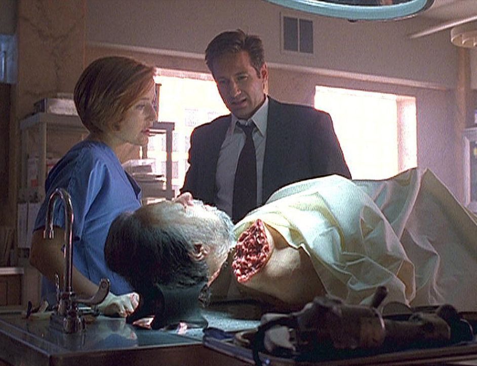 Scully (Gillian Anderson, l.) und Mulder (David Duchovny, r.) betrachten die Leiche des großen Zauberers Maleeni (Ricky Ray, liegend). - Bildquelle: TM +   2000 Twentieth Century Fox Film Corporation. All Rights Reserved.